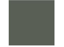 Pompeian Ash