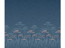 Achillea - Nighttide