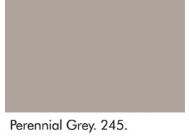 Perennial Grey