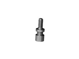 Nova Woodworm Screw - RH