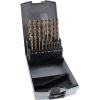 FAMAG 19pcs HSS-Ground Brad Point Drill Bits Set in Plastic Case