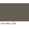 Grey Moss