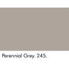 Perennial Grey